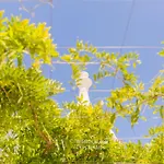Wanderlust Experience Trulli Della Madonnina *